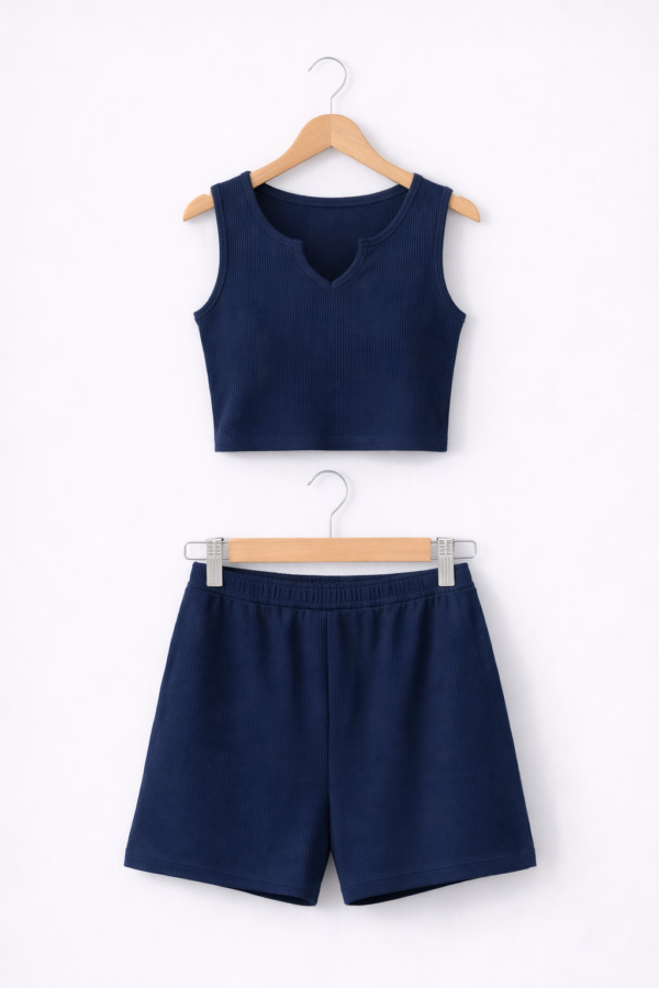 LS013 (2) Blueberry V- Lounge Set